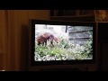 Mötley's fav programme Foxes Live