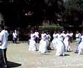 presentacion decimal