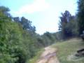 greer 2