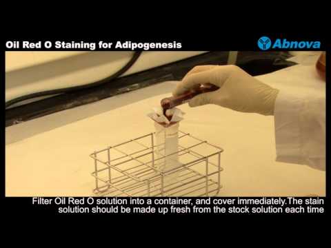 how to prepare oil red o solution