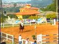 Cavalo Samaritana
