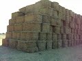 Bale Handling at Hull Farms
