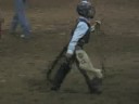 Calf Riding - NJBRS 2008 National Finals Calf Riding - NJBRS 2008 National Finals