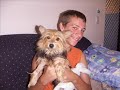 Dogs Rescued From Pounds by Save a Pound Dog QLD