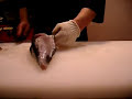 Cutting of Blowfish (Fugu) in Japan