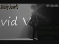 David Vendetta - She Loves Me (original mix)