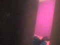 Susto de Titi