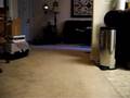 Voo-plays-"Fetch"