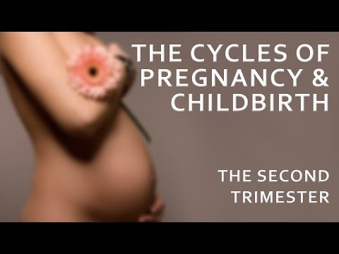 how to care in pregnancy in 4th month