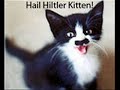 cats 5