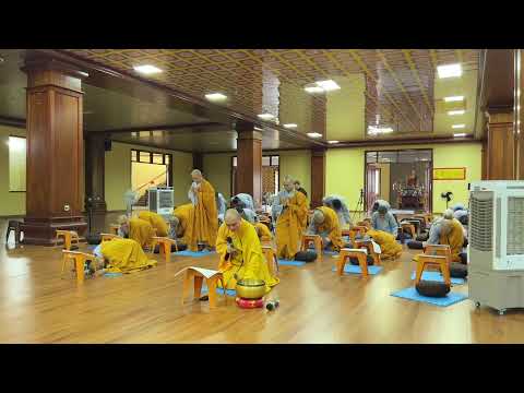 NIKAYA Thiền Quán - Vô Thường Là Đời Sống *