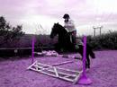 One More Jumping Session One More Jumping Session