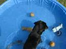 Bobbing 4 balls