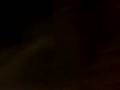 videos de El Poste del Perreo