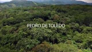 Voo na mata.