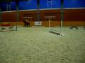 videos de Springstunde im RTC Timmel (Halle) 3