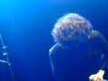 Exit Ten - Newcastle Academy - PART 1