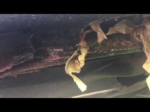 Tak wygląda Audi A6 kupione w Polsce. Ziomek srogo się zdziwił jak zmieniał koło