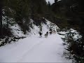 The 