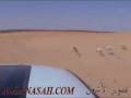 قنص ارنب قنص ارنب