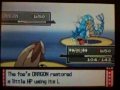 battling the wifi battle tower, i was battling this tough opponant venusaur(petal), flygon, lopunny (amu) vs ferelagtr, gyrados,garchomp this was a very tough opponant but can i turn this battle around? lopunny(amu) desereves all the credit but my venusaur and flygon are great too they may seem not but to me they are incredable pokemon just watch and find out what lopunny does i was quite shocked!!!!!!!! and there not even ev trained!!!!!!!!!!!!!!!!!!!!!!!!! battling recorded on the vs recorder and then on my ipod