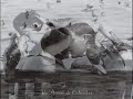 Força de uma paixão (compositor:Elizeu Miranda)