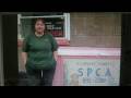 SPCA in Wellsville, Allegany County NY SPCA in Wellsville, Allegany County NY