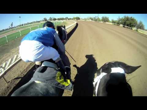 horse racing horse racing