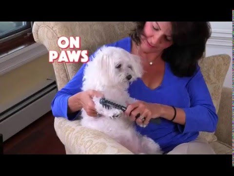 Knot Out Pet Grooming Tool - As Seen On TV