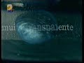 Lágrima da Preta Lágrima da Preta