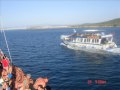 AYVALIK ANILARI AYVALIK ANILARI