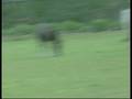 Bekijk video