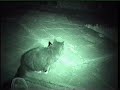 SUPER NIGHT-SHOT VIDEO GHOST ILLUMINATOR - `AWESOME`