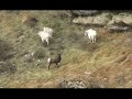 Backpacking in the Ruby Mountains.com