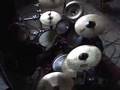 Ion Dissonance - Kneel from Minus The Herd