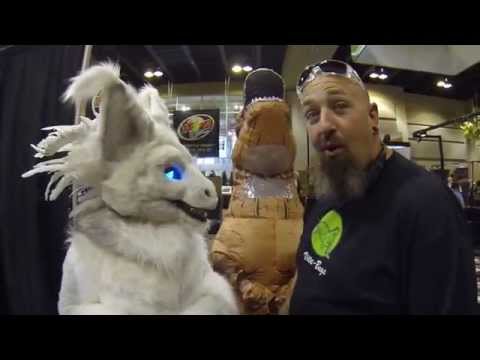YouTube reptile video