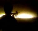 jackass-saint-omer.html