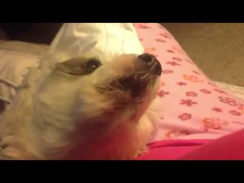 powerball drawing time