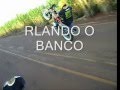 cachorro loko ituverava
