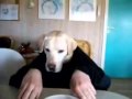 Ukázat Video