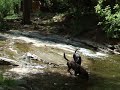 Rio Ruidoso, mild mannered river