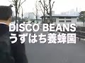 PV：3/10 
