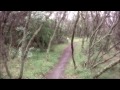 Amazing video footage from the Draganflyer X6 through the Trees
