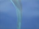 videos de Ancora delfini a Cefalù - Settembre 2008