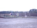 T-rex 450 en cancha alerce