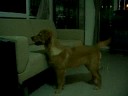 Curious Mobe @ 6 mths old