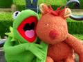 Kermit et Miaouf dans la volière