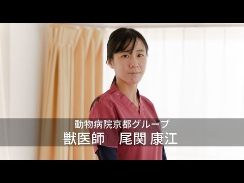 インタビュー動画