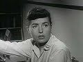 How Much Affection? (1958)