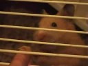 Peanut Butter scare